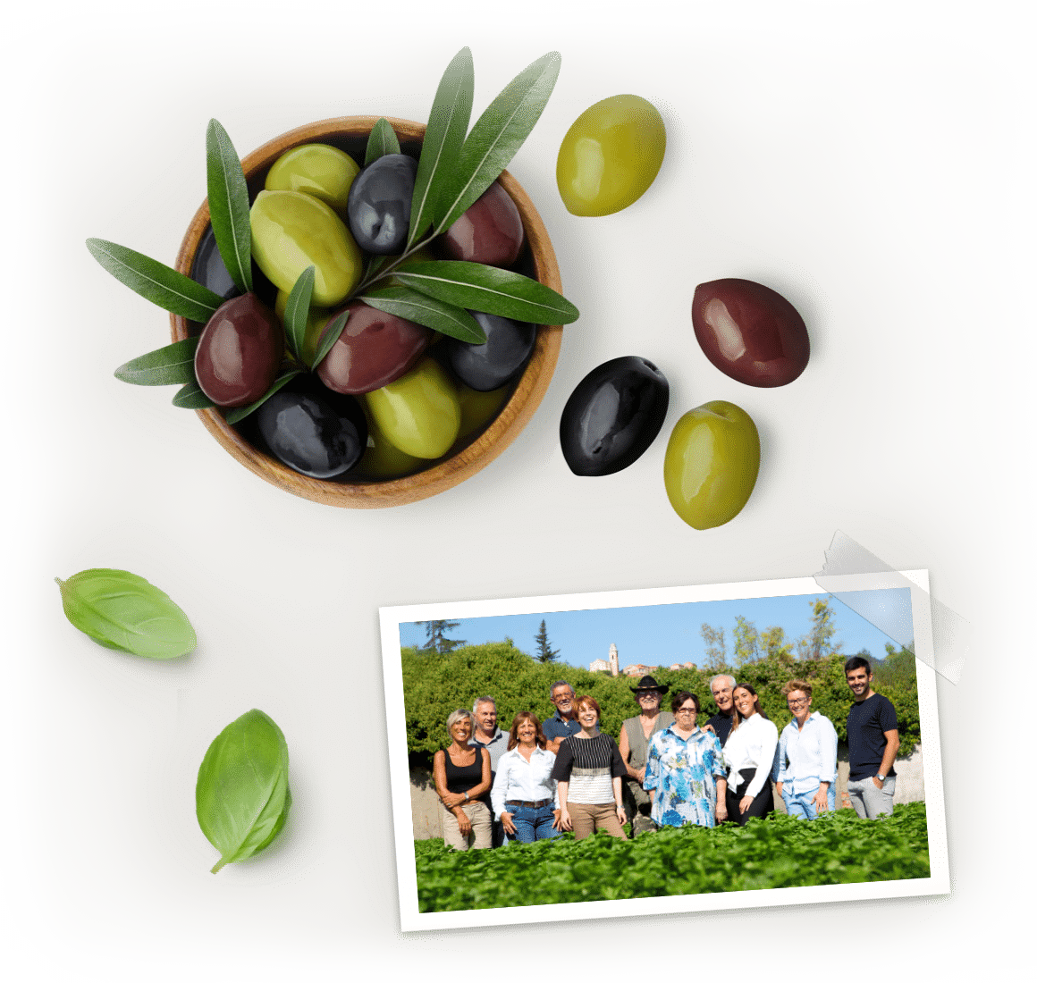 La Macina Ligure Produzione pesto alla genovese, salse liguri e